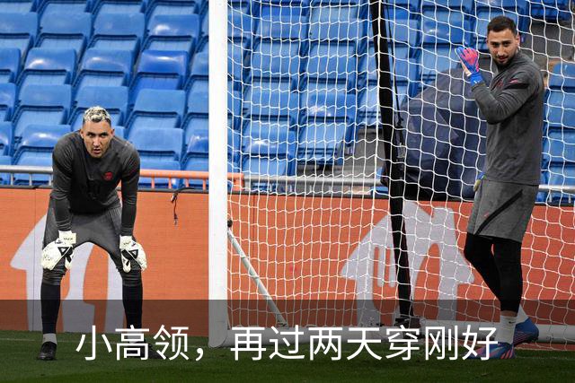 小高领，再过两天穿刚好